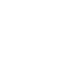 LOGO BEST INVEST BLANCO